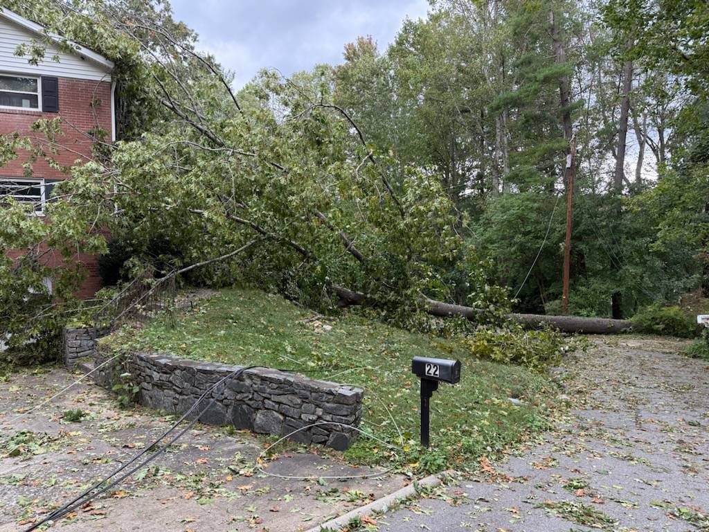 A tree falls on a property of Carol Nguyen Steen in Asheville, North Carolina