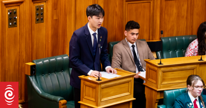'We need more voices': Asian Youth MPs call for diversity in politics